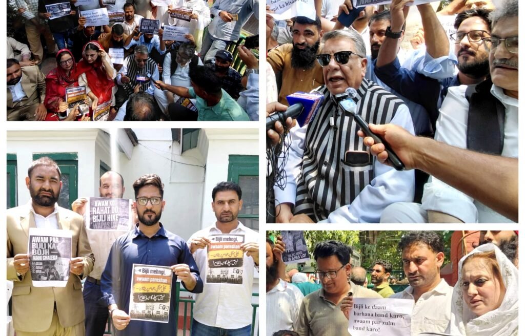 PDP Youth Delegation from Baramulla Joins Protest Against 6.83% Electricity Tariff Hike